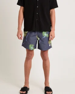 16" Alma Volley Boardshorts