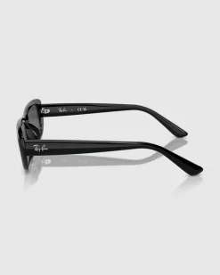 RB4436D Sunglasses