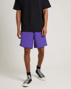 Stussy Big Stock Nylon Shorts in Purple