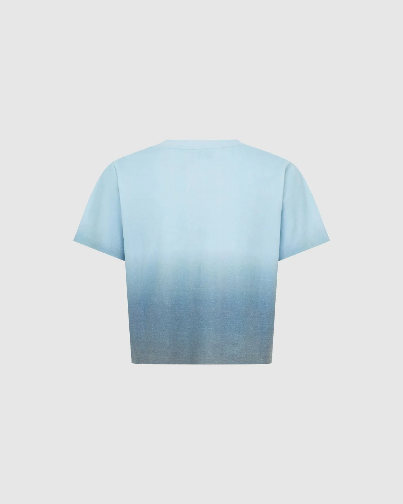 The Baby T-Shirt