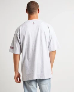 Trela Short Sleeve T-Shirt in Ice Marle Grey