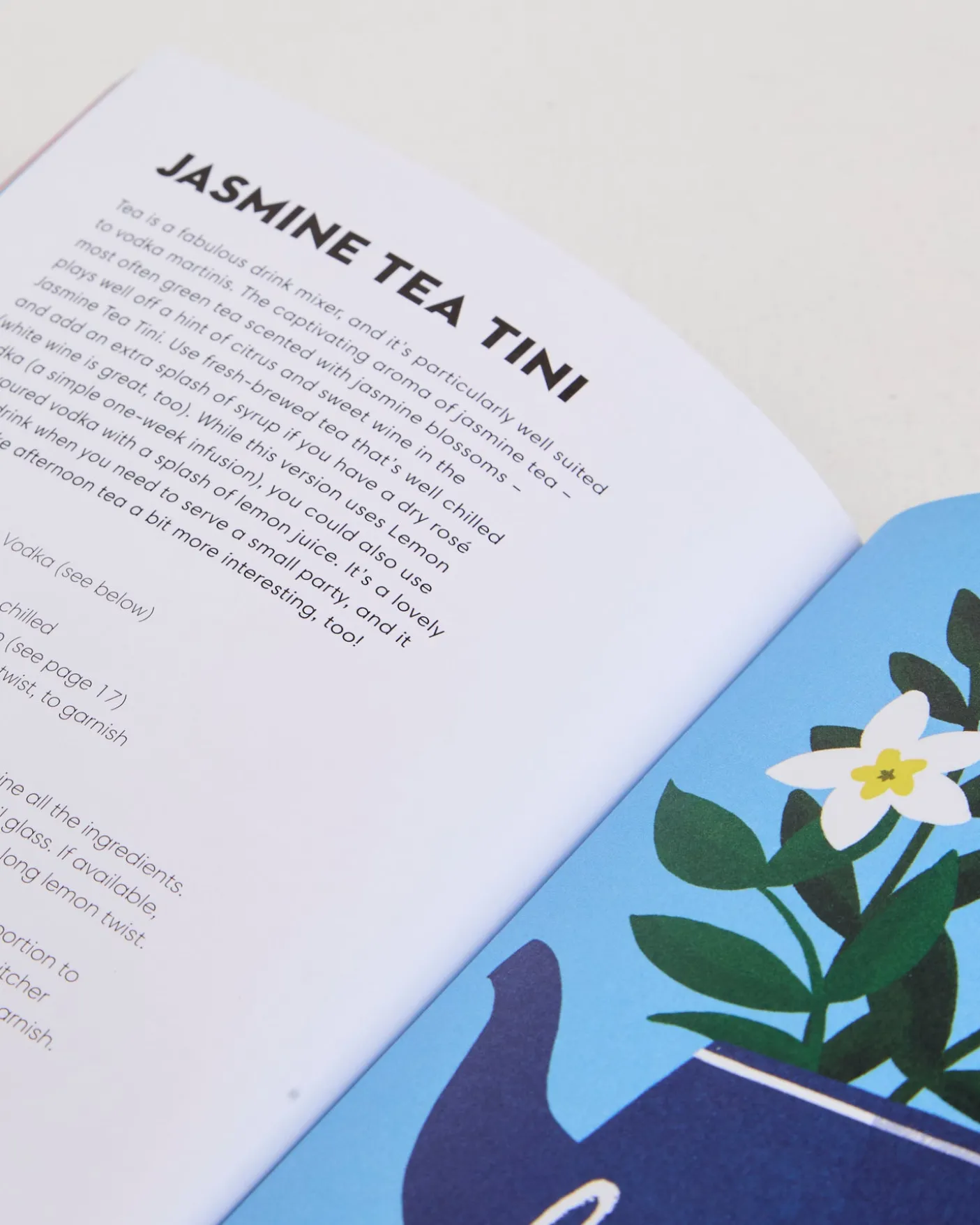 Vodka Made Me Do It Book