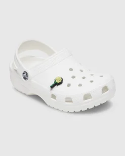 White Rose Jibbit