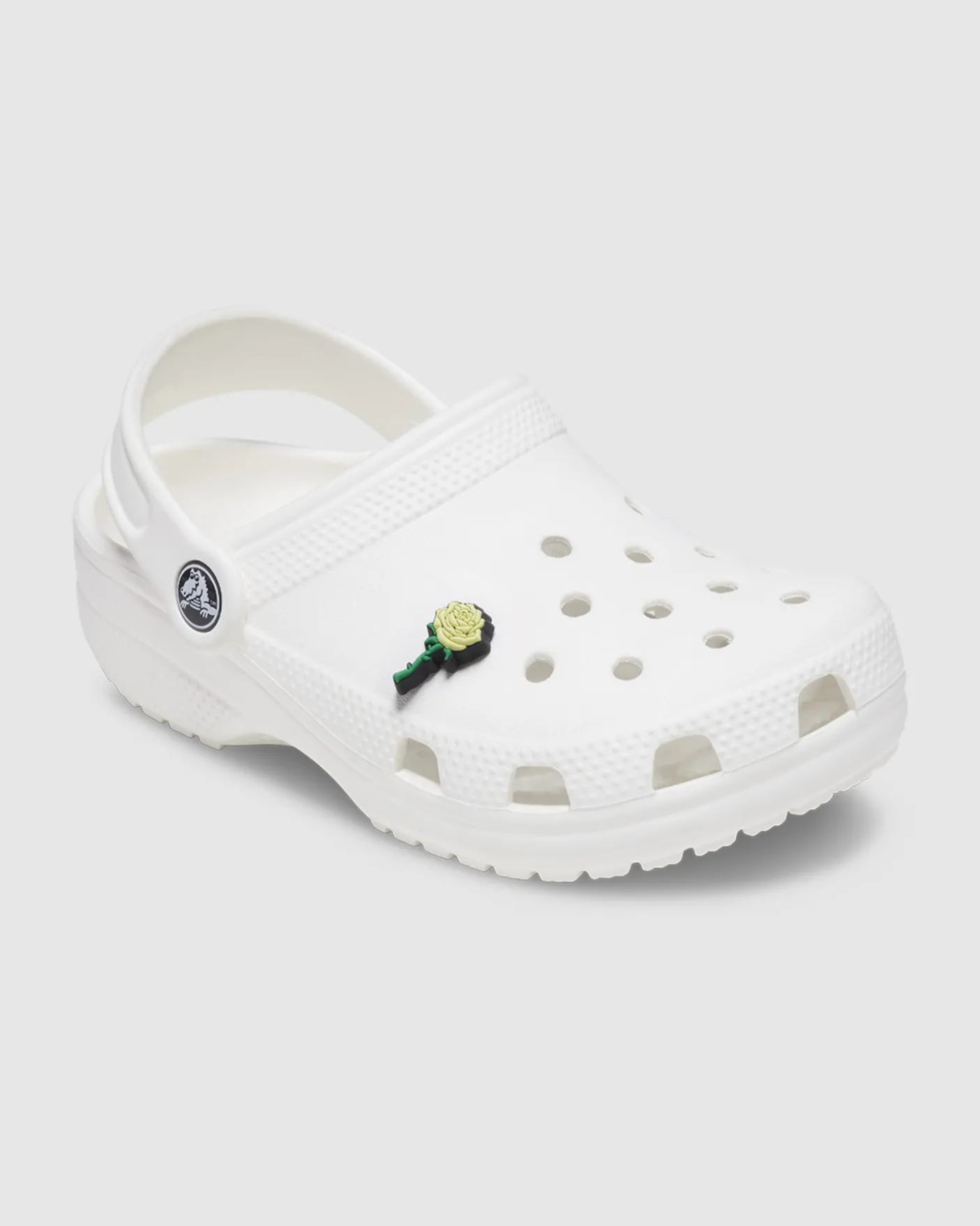 White Rose Jibbit
